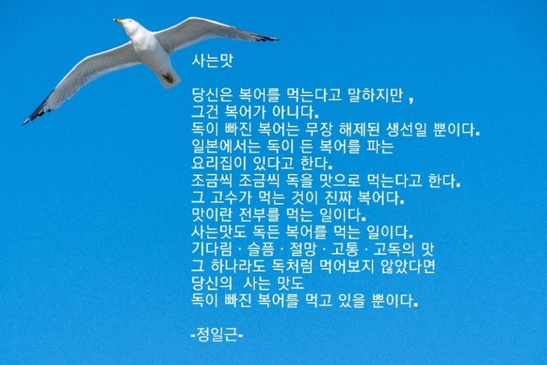 (분소) 시낭송 썸네일 이미지 