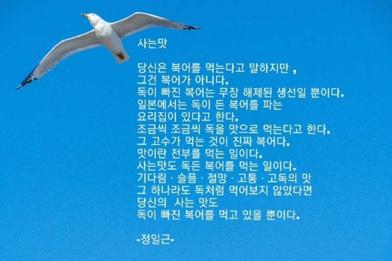 (분소) 시낭송 썸네일 이미지 1