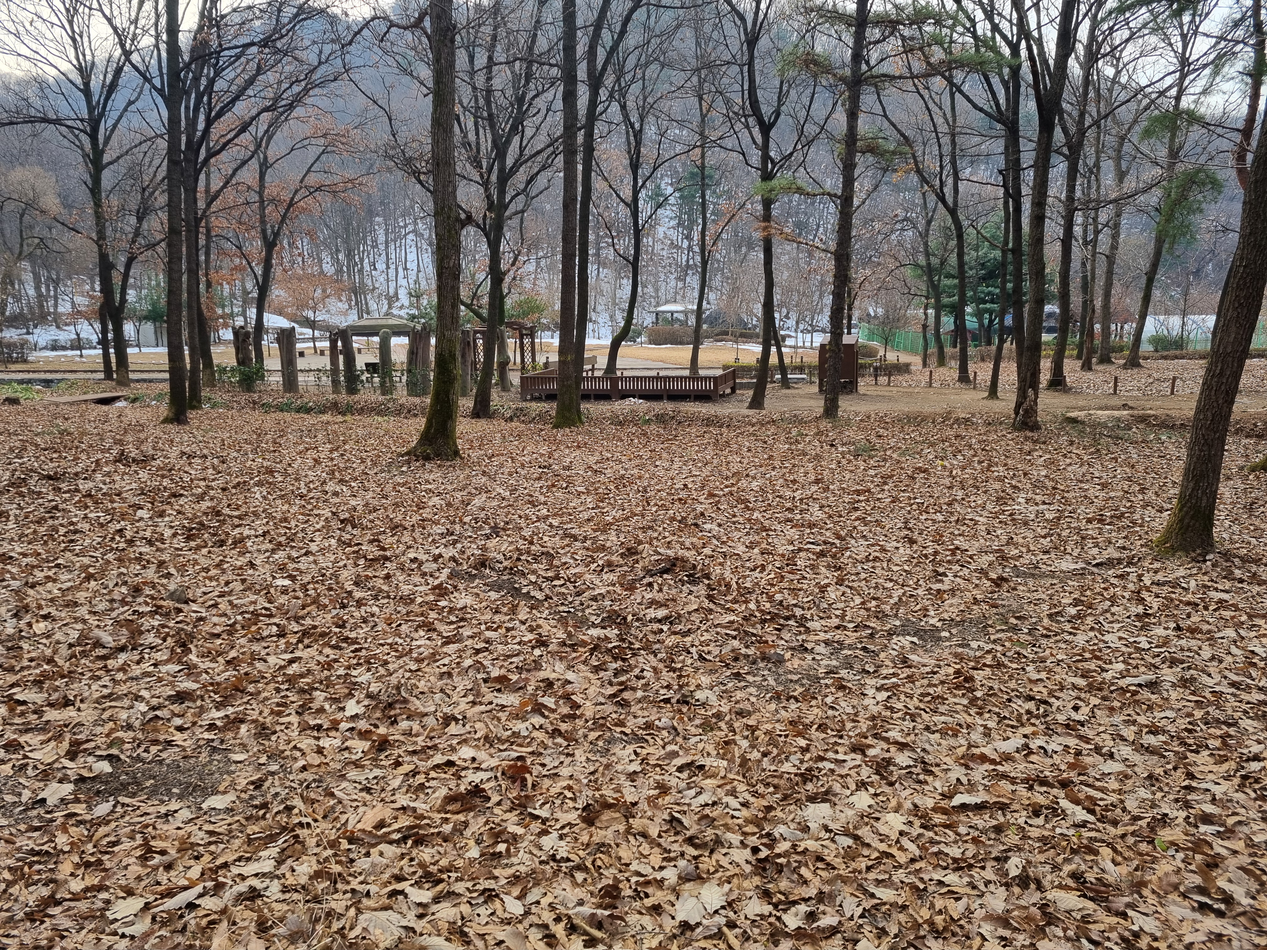 2025년 부곡산림욕장 유아숲체험원 운영 썸네일 이미지 1